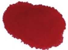 梅花入门画法教程,梅花的十种画法讲解