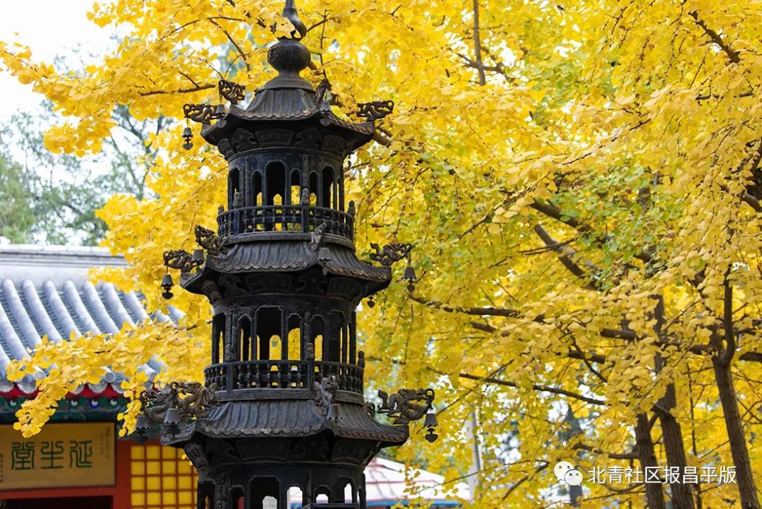 处暑将至暑渐消凉意至养生需讲究,处暑的节气特点处暑养生常识