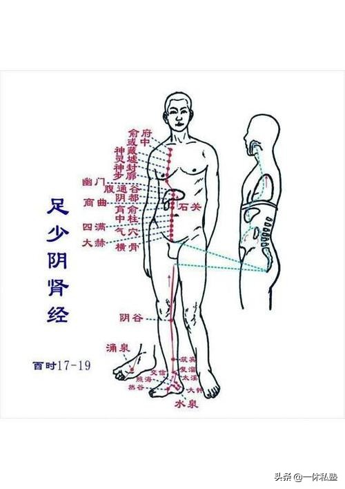 百病源于淤堵怎么治疗,经络通百病除经络堵百病生