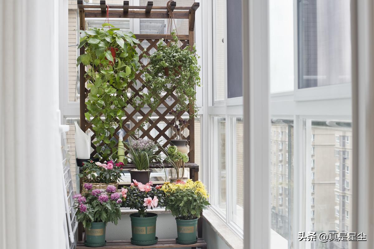 有钱没钱装套房：晒晒我的第二小窝