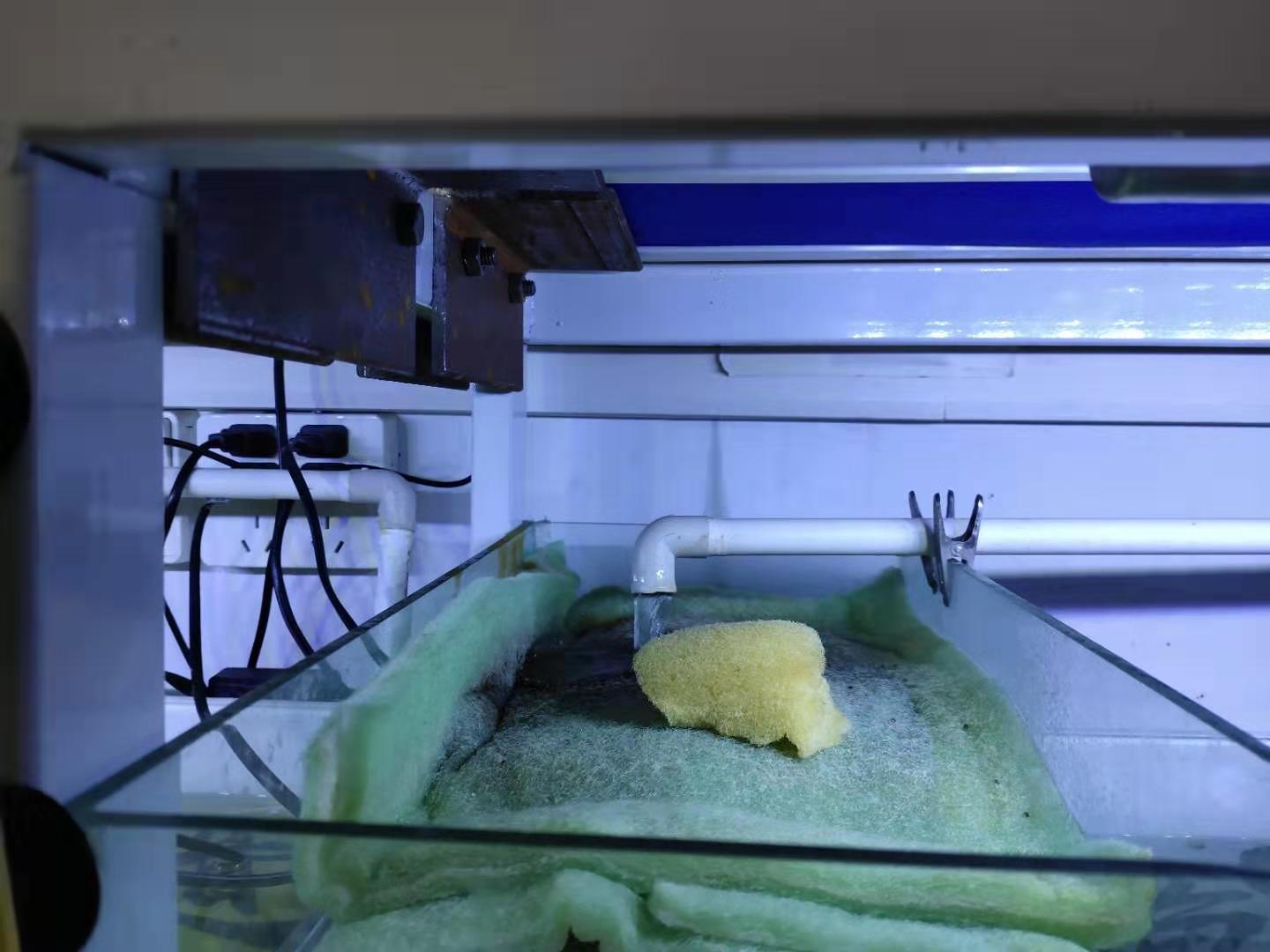 鱼缸漏水最快解法,鱼缸漏水最简单的补漏方法