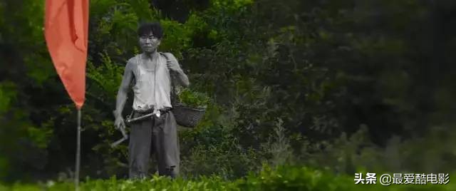 鍗庤鐢靛奖閬楃彔,2019鍗庤鐢靛奖閬楃彔