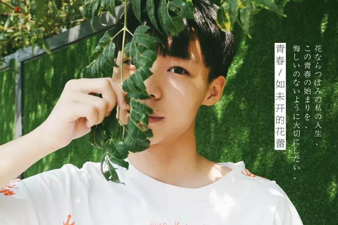 南京北大青鸟好吗,北大青鸟南京