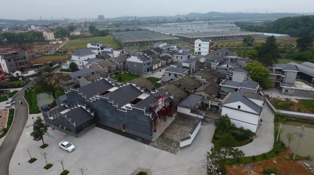 砥砺奋进新征程总结,乡镇乡村振兴先进事迹材料