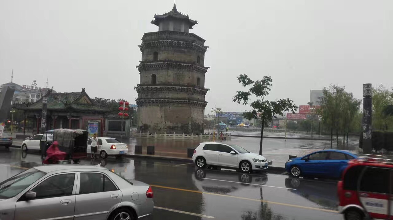 奇怪的古塔燕子----“严冬不南迁，有足不成行”