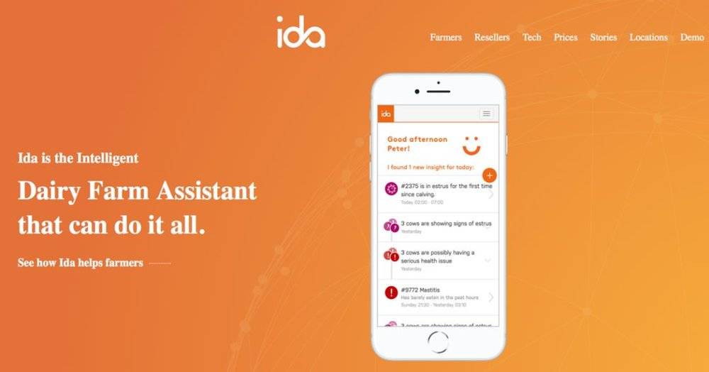 微软员工辞职的政策,微软员工离职养牛