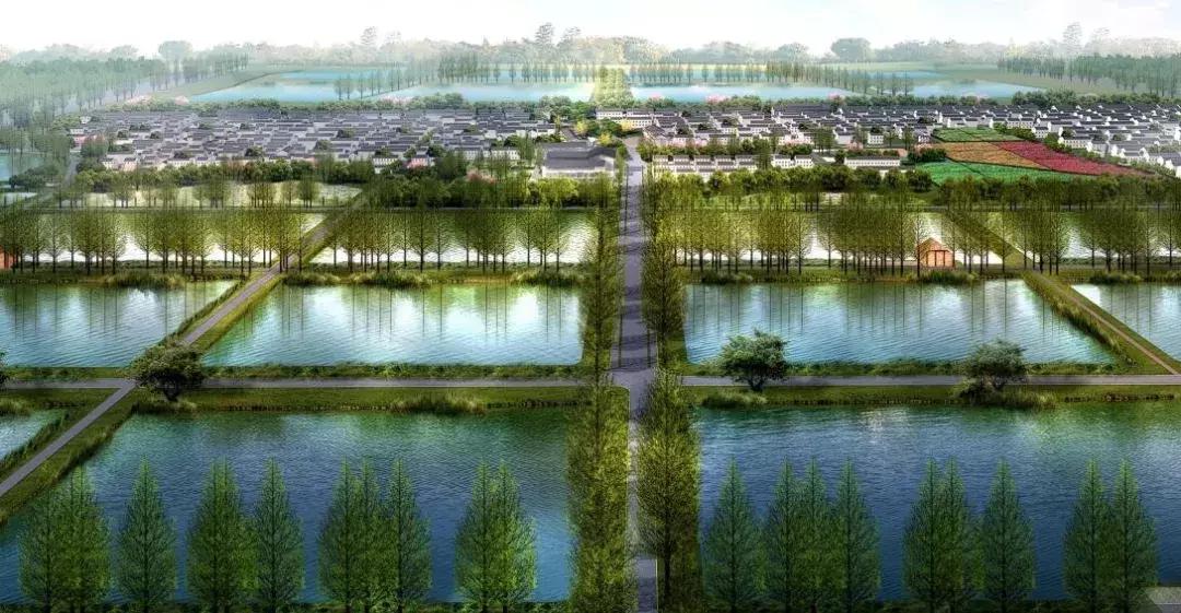 江苏最美乡村民宿,特色民宿乡村旅游