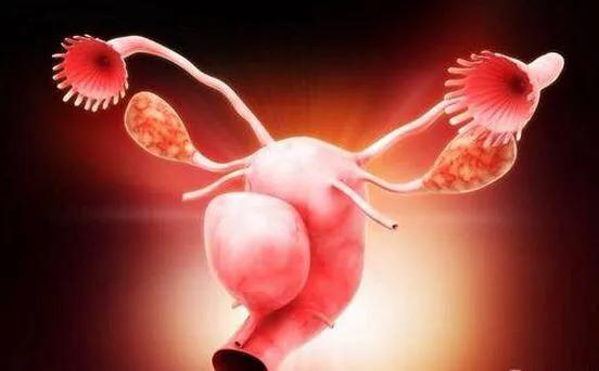 38岁女子盆腔长出了毛发和骨骼，这是一种什么怪病？