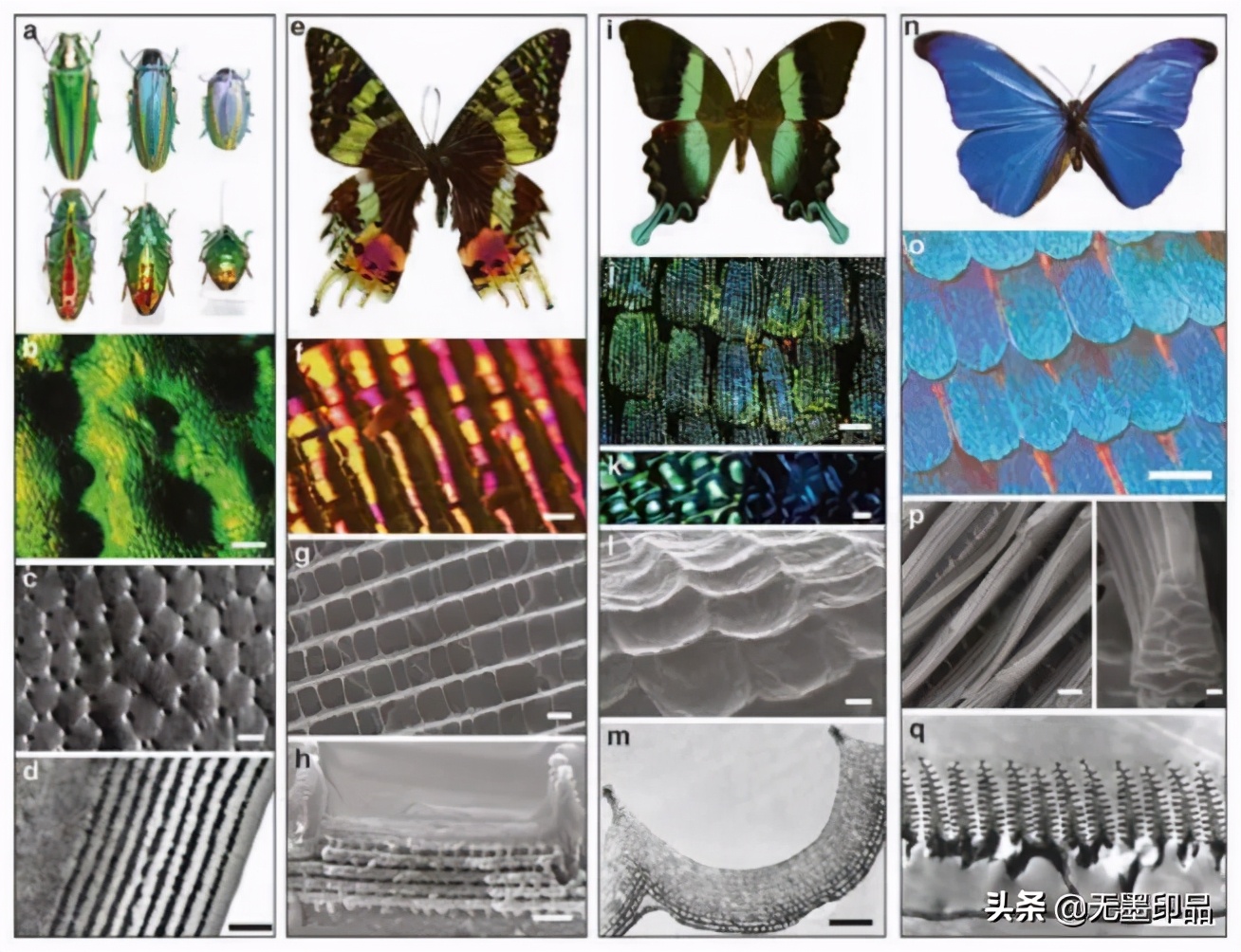 光栅的结构特征,光栅的特性分析与应用