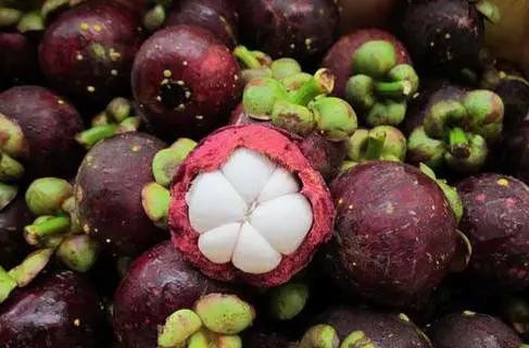 山竹怎么挑选果核少的,山竹怎么挑选5公6母