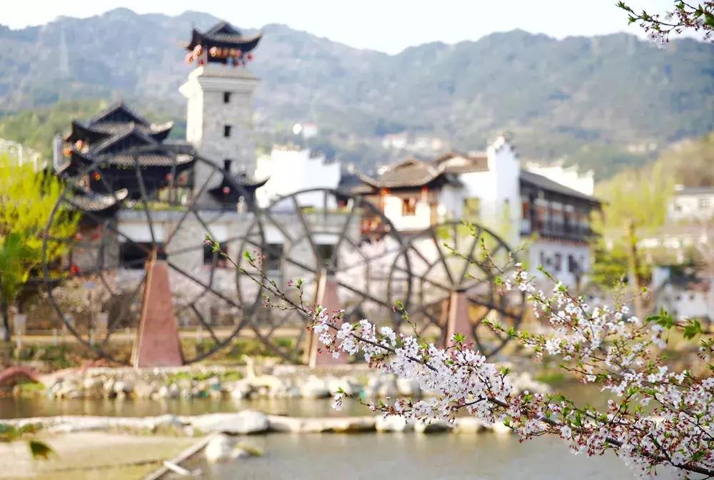 三月赏雨赏花,三月适合去哪儿看花