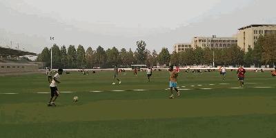 这群非洲小伙分别叫刘备张飞周瑜诸葛亮,哈哈哈哈