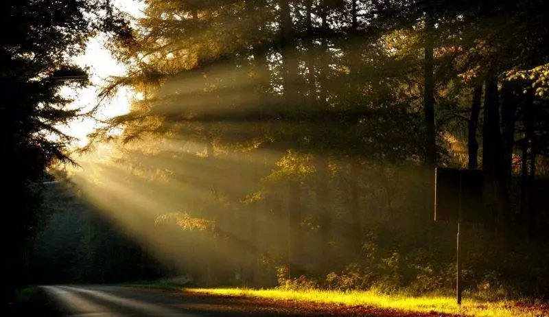 诸葛学堂语文精选,诸葛学堂超级反转作文