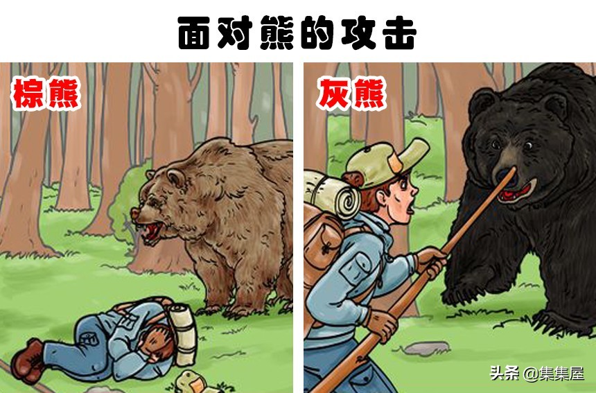 被困车中如何从后备箱逃出,被关车后备箱如何自救