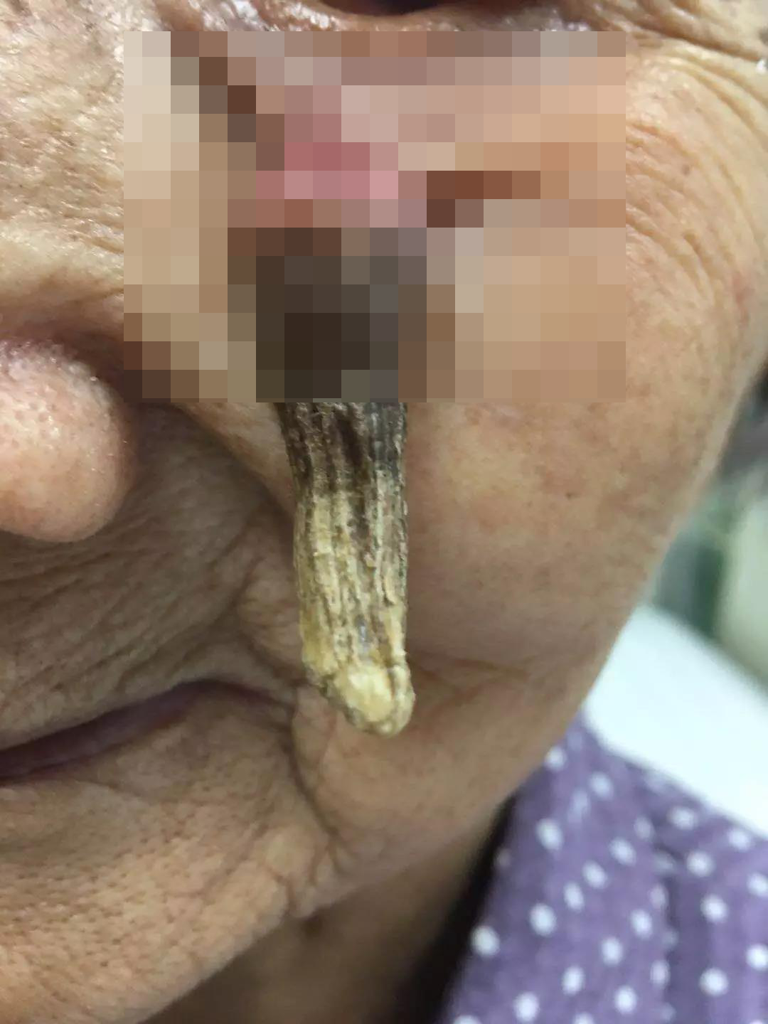 长沙老太太,长沙老太