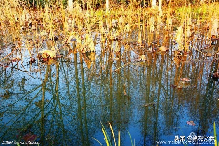 【原创.古韵新声】纤陌畔,小桥东。清溪流水逐残红
