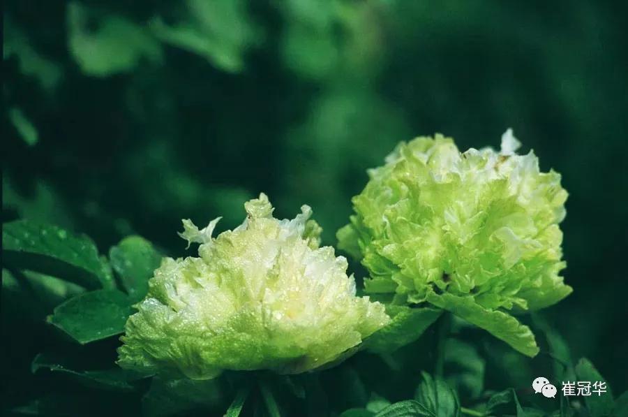 欧阳修袁枚,韩愈袁枚和欧阳修