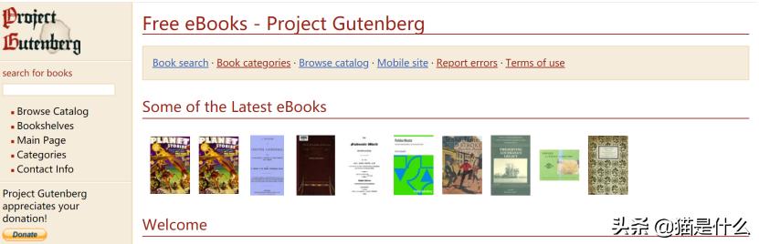 亲测可用音乐下载,亲测有效免费阅读