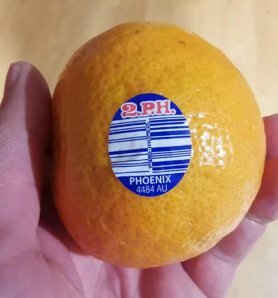 澳洲橘子7元,聊一聊砂糖橘