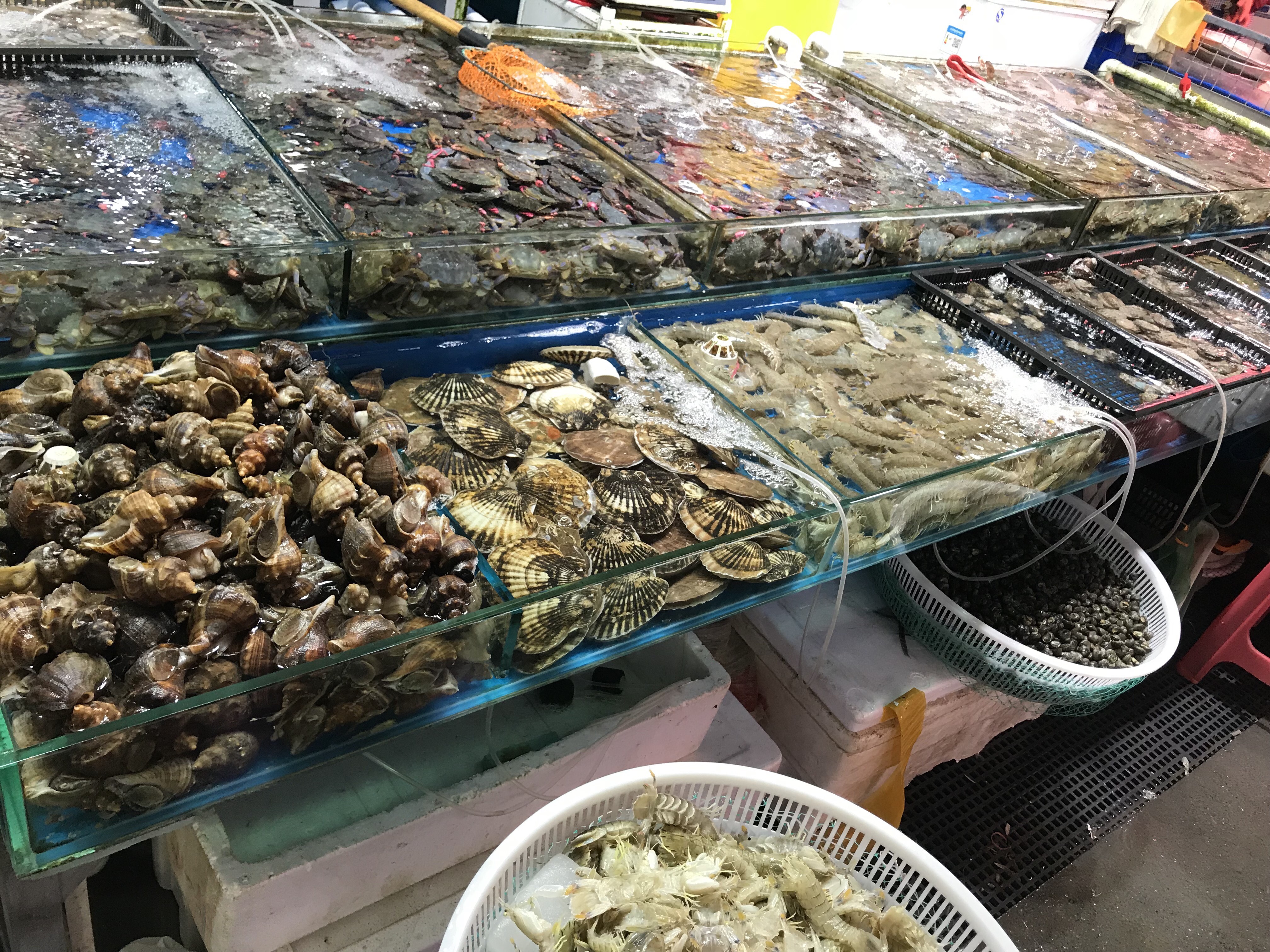 大连市开海了海鲜都到哪去了,大连开海哪个地方买海鲜便宜