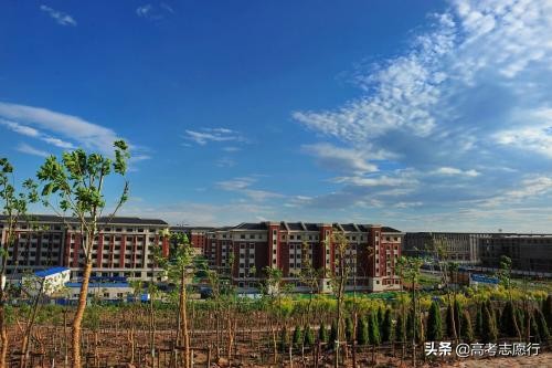 国内顶尖的中医药大学排名,中医药大学六个双一流