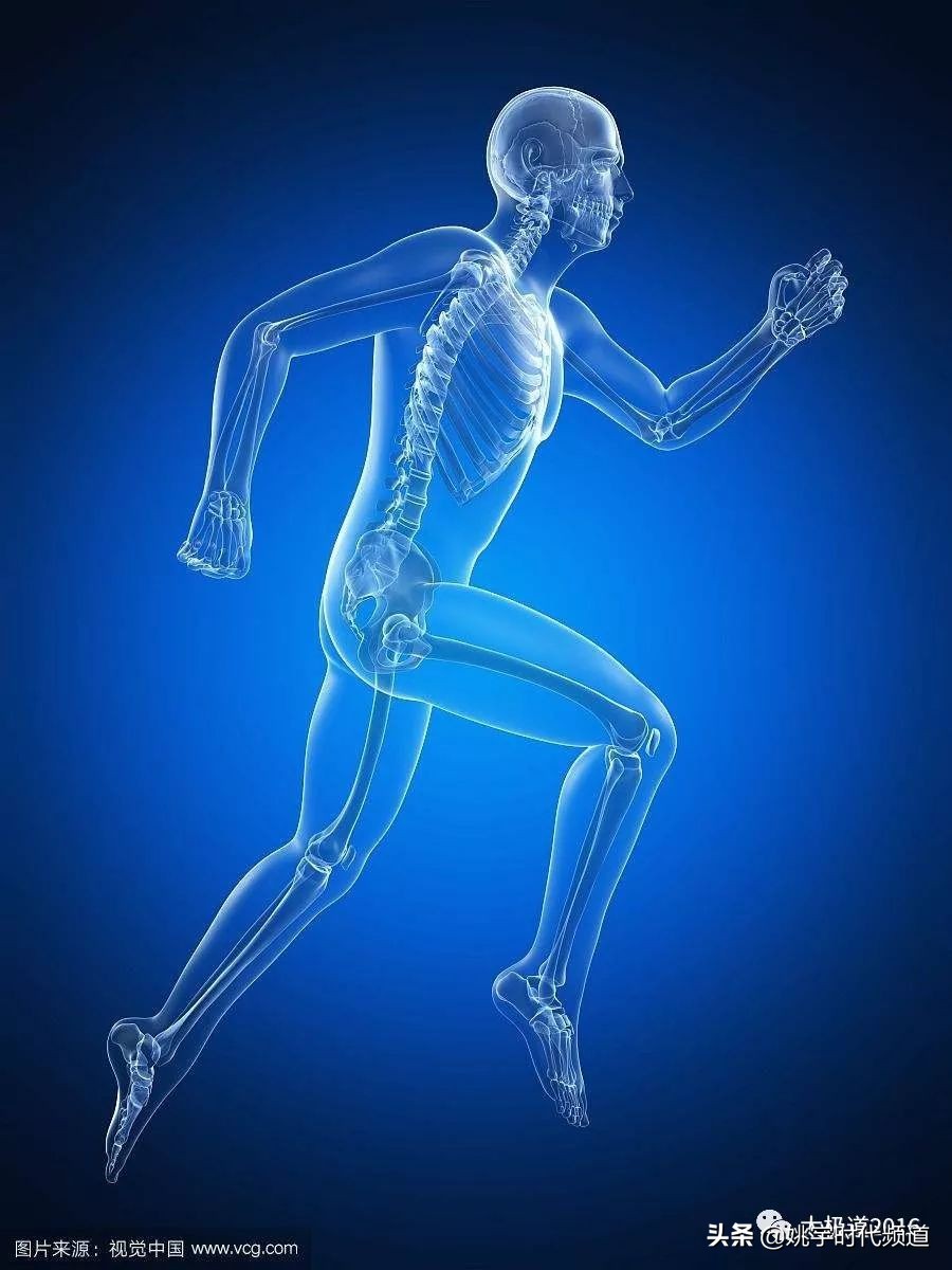 武功怎么练,普通人武功怎么练