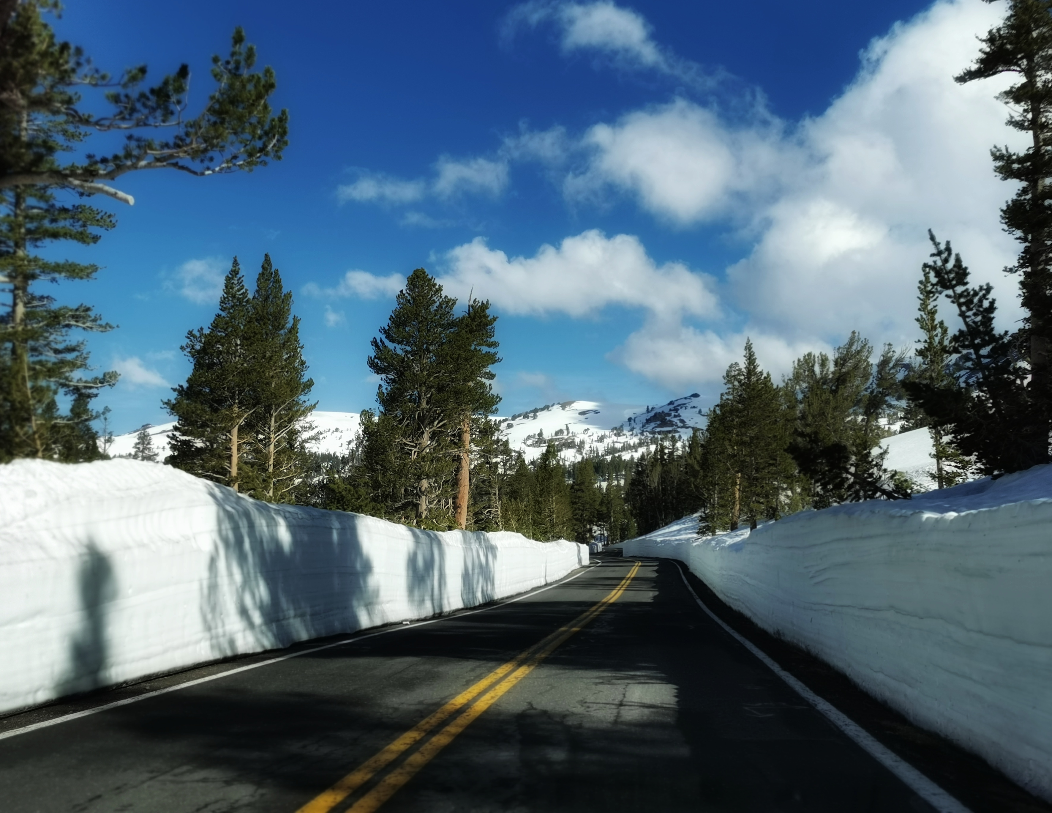 加利福尼亚优胜美地,美国旧金山优胜美地