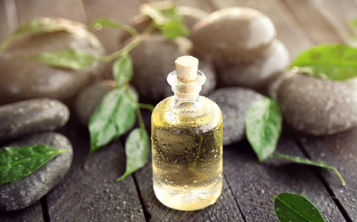 为什么有些山茶油那么便宜,南方茶油为什么这么少