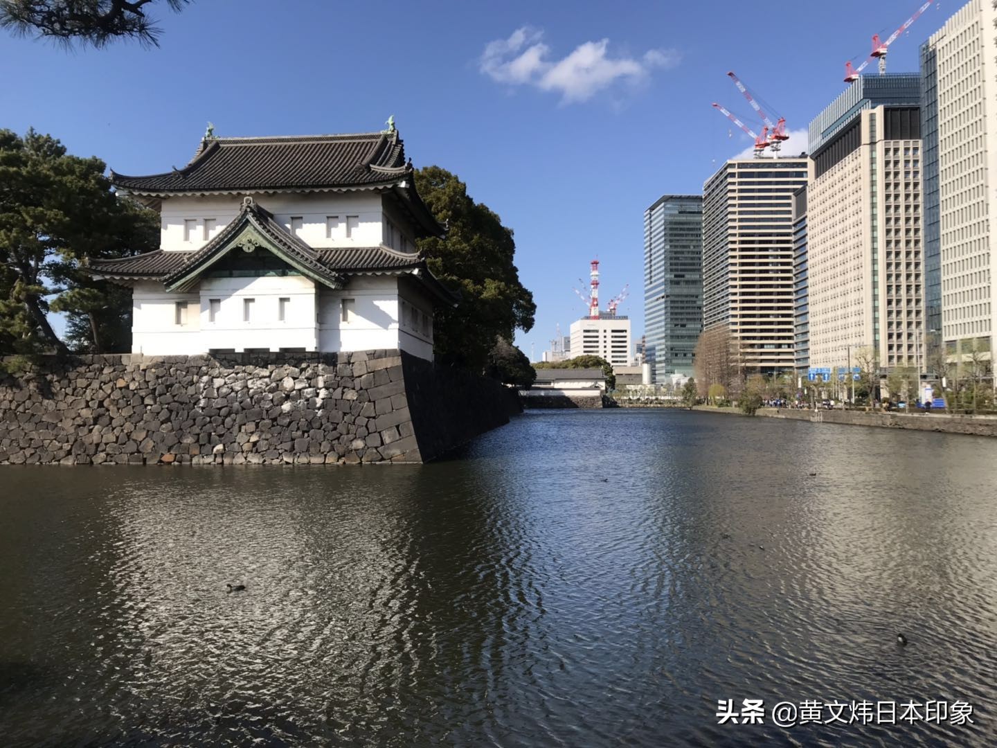 向世界说声谢谢歌曲,向世界说声谢谢你