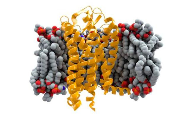 全世界第一例艾滋病治愈患者,人类医学史奇迹