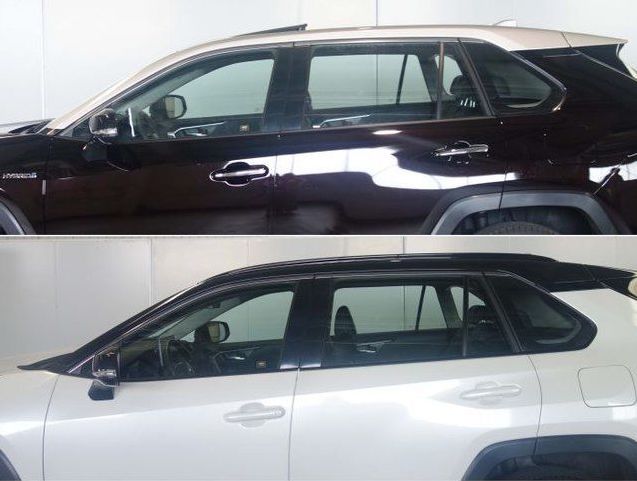 广州车展看点,广州车展看什么车