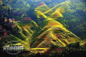 广西钦州灵山县地域文化,广西钦州灵山有多少个村