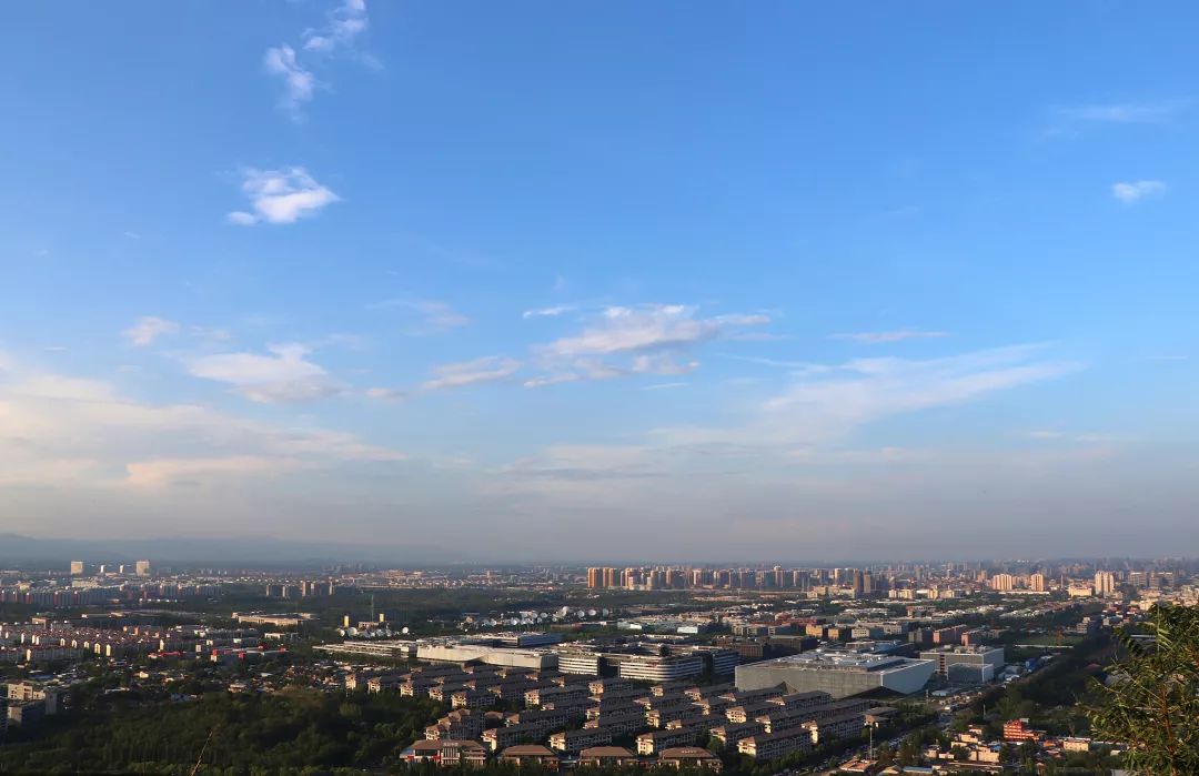 文科专业没前景吗,文科没前途专业