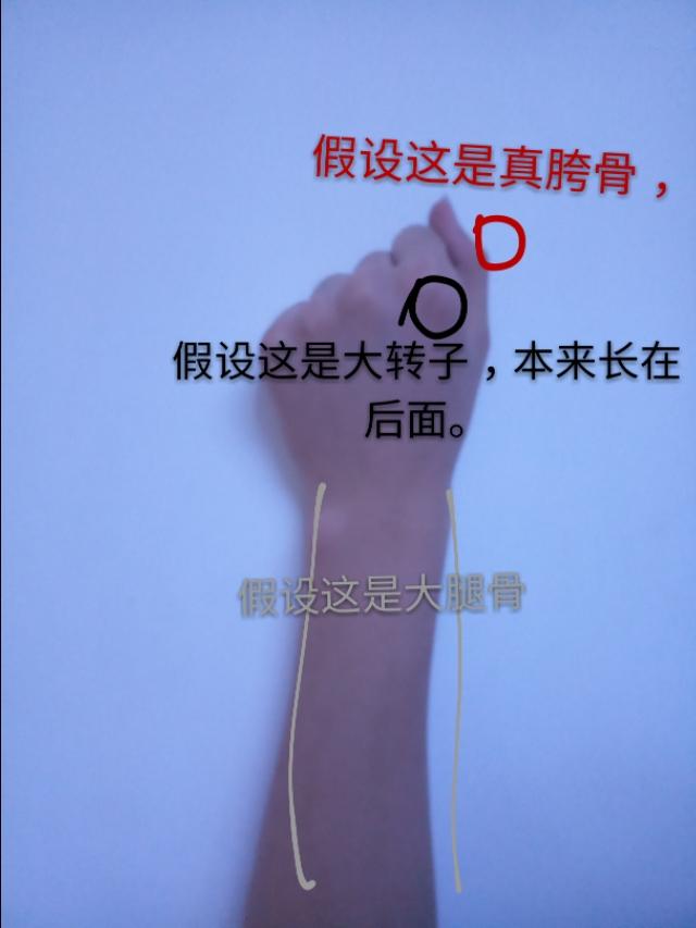 胯宽了但腿型还是歪的矫正方法,怎样改变假胯宽和大腿内侧的肉