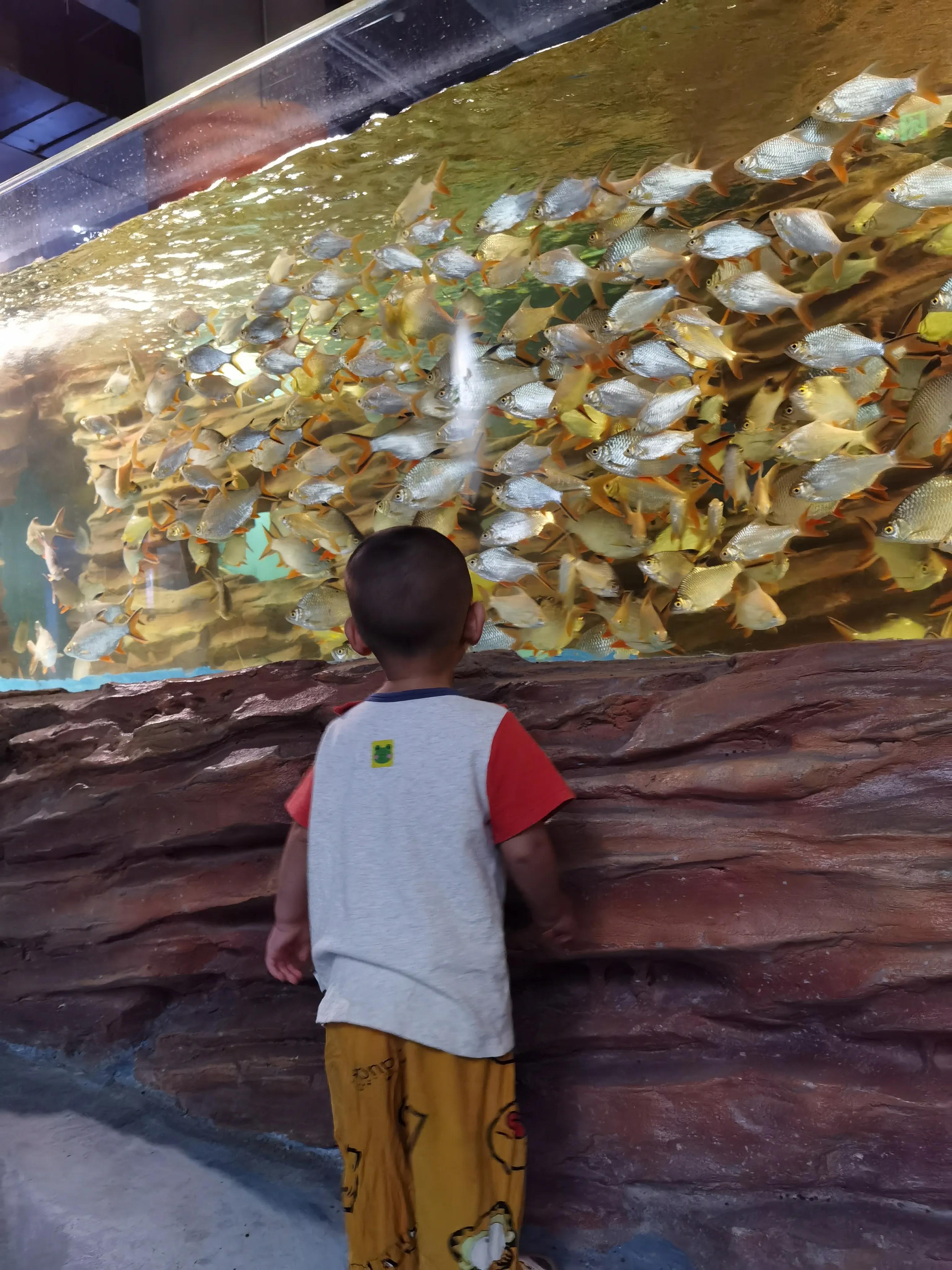 天津海洋馆新开的儿童乐园,天津适合孩子玩的水上乐园