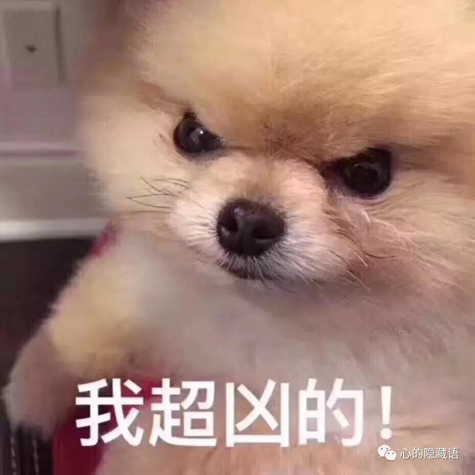 渡人如渡己渡己也是渡人,渡人渡己还是渡己渡人