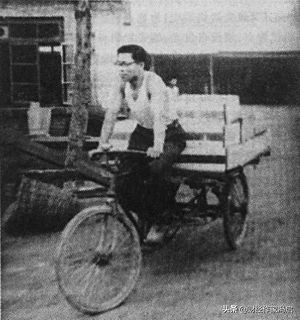 中国乳业之殇,中国乳业十年