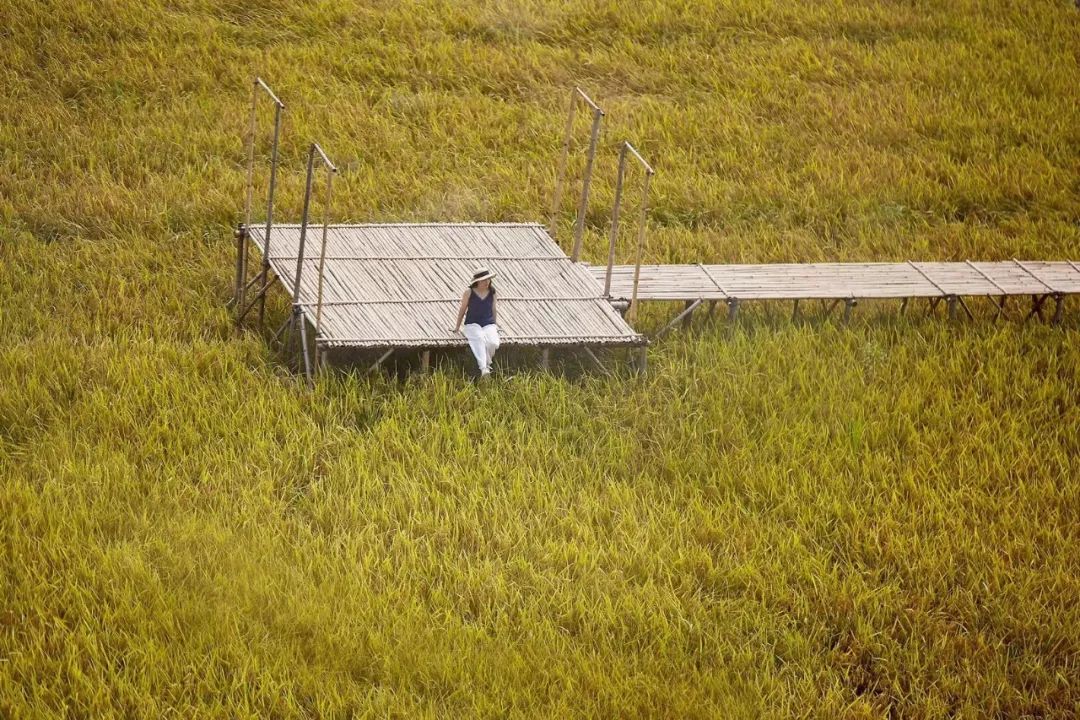 七个闺蜜造房养老,7个闺蜜一起改造农村小院