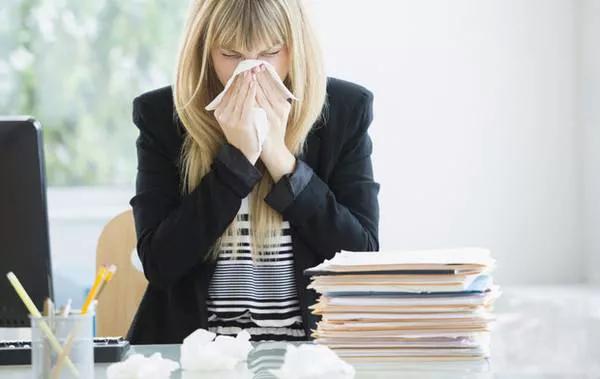 日本樱花除甲醛,日本进口除甲醛品牌