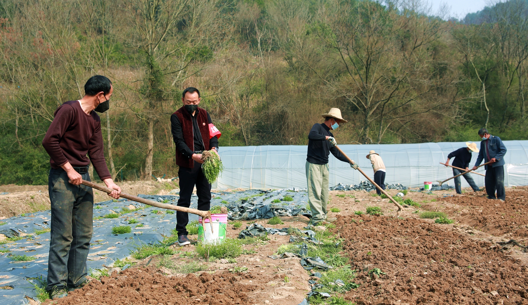 一手抓生产一手抓防疫的宣传报道,一手抓防疫一手抓生产相关简报