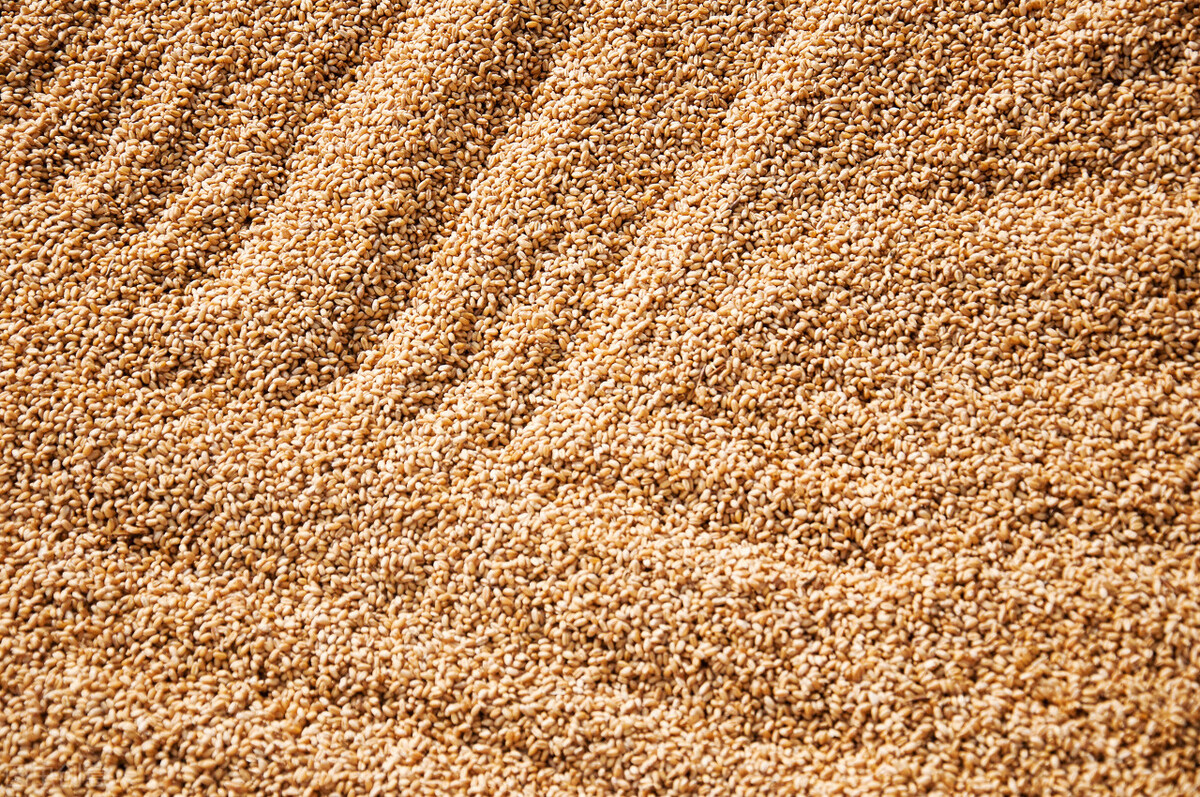 三百一十九读作怎么写,三百一十九英文