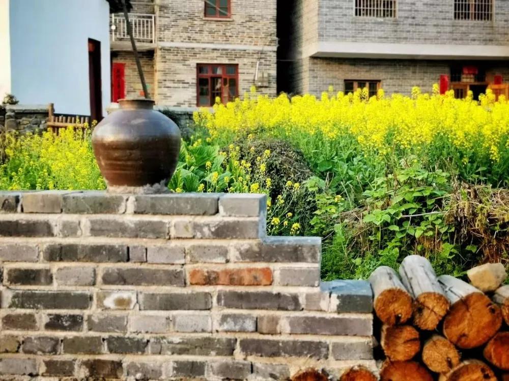 【谁不说咱家乡美】美丽中国，“乡”约万安（河西片）