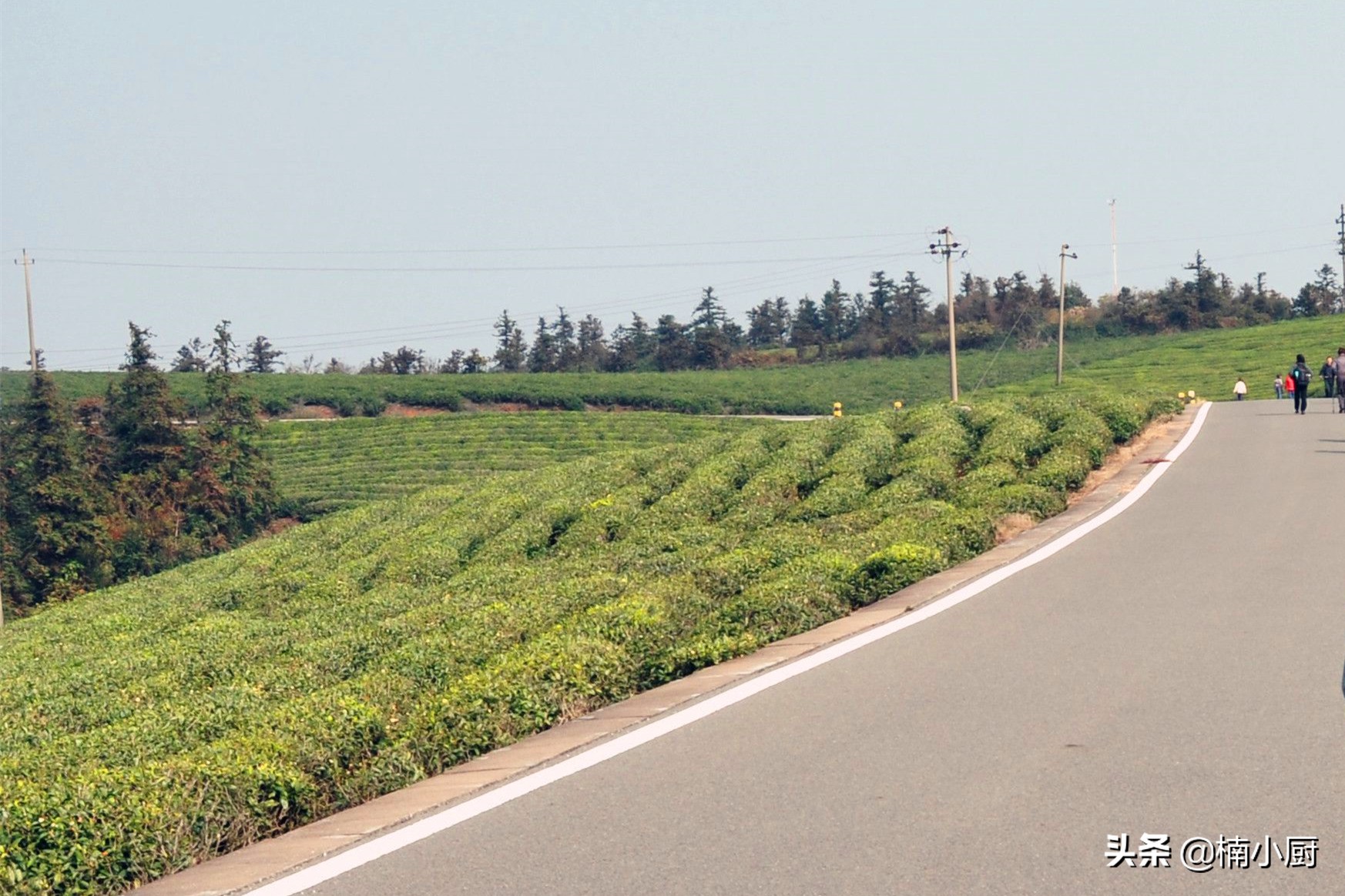 宁波旅游东钱湖,旅行宁波