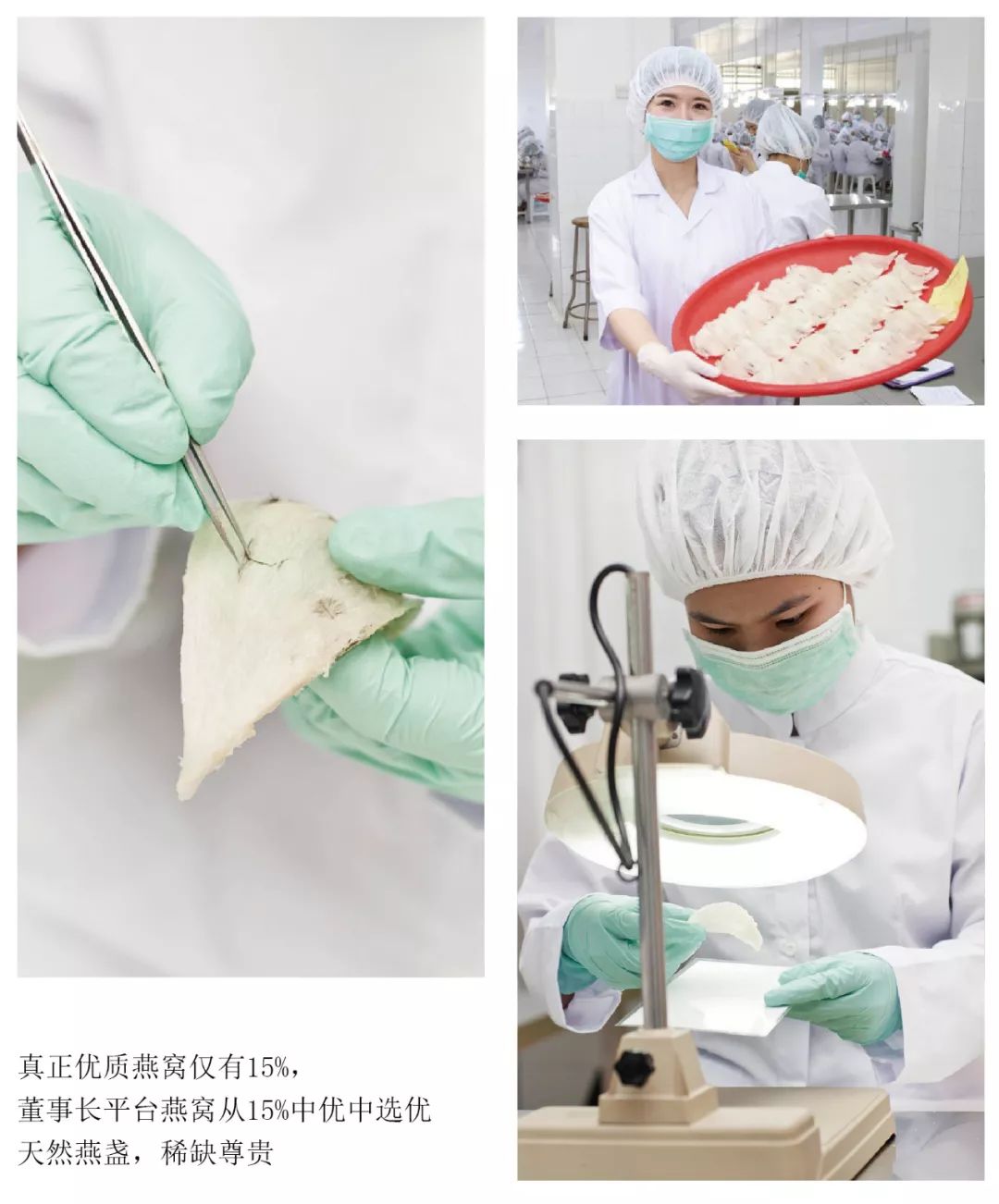 优德名品汇--养颜健体，当选印尼原盏进口燕窝