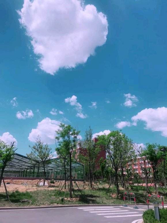 新高考选科赋分几个等级,新高考选考3+3科目等级赋分