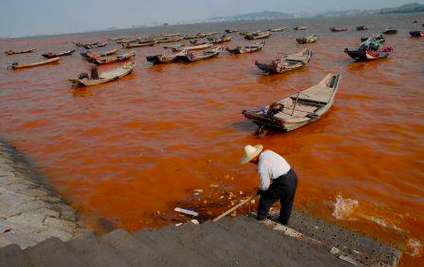 这种贝比眼镜蛇毒强80倍，海员食用后中毒身亡，为何还常被人吃