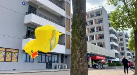 泰州学院和贵州师范大学,四十六所高校