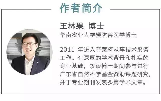 种鸡孵化技术全过程,孵化过程产生弱雏鸡的原因