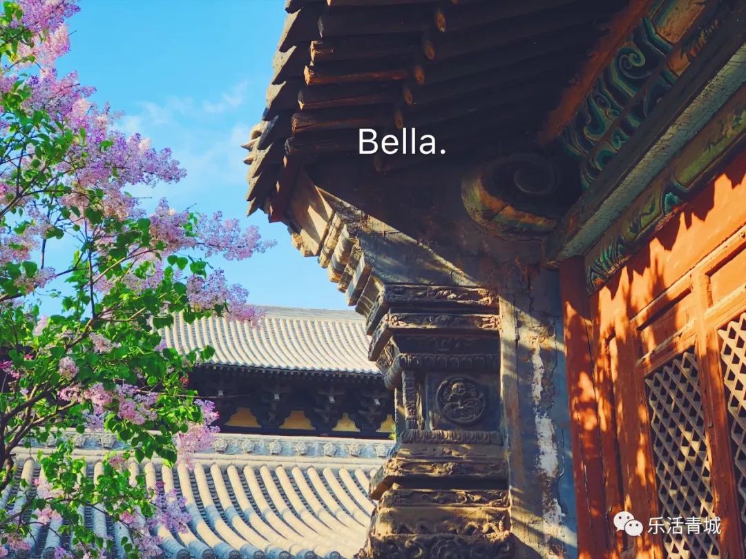 贝拉专访合集,贝拉专访完整版