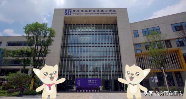 两江新区幼儿园学费贵不,重庆两江幼儿园学费